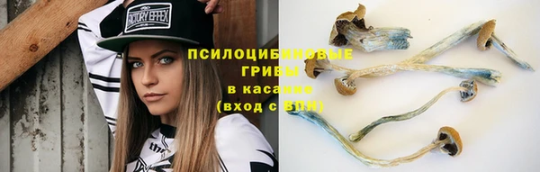 крисы Липки