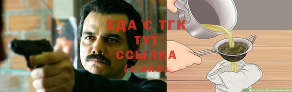 гашик Галич