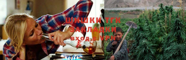 не бодяженный Гатчина
